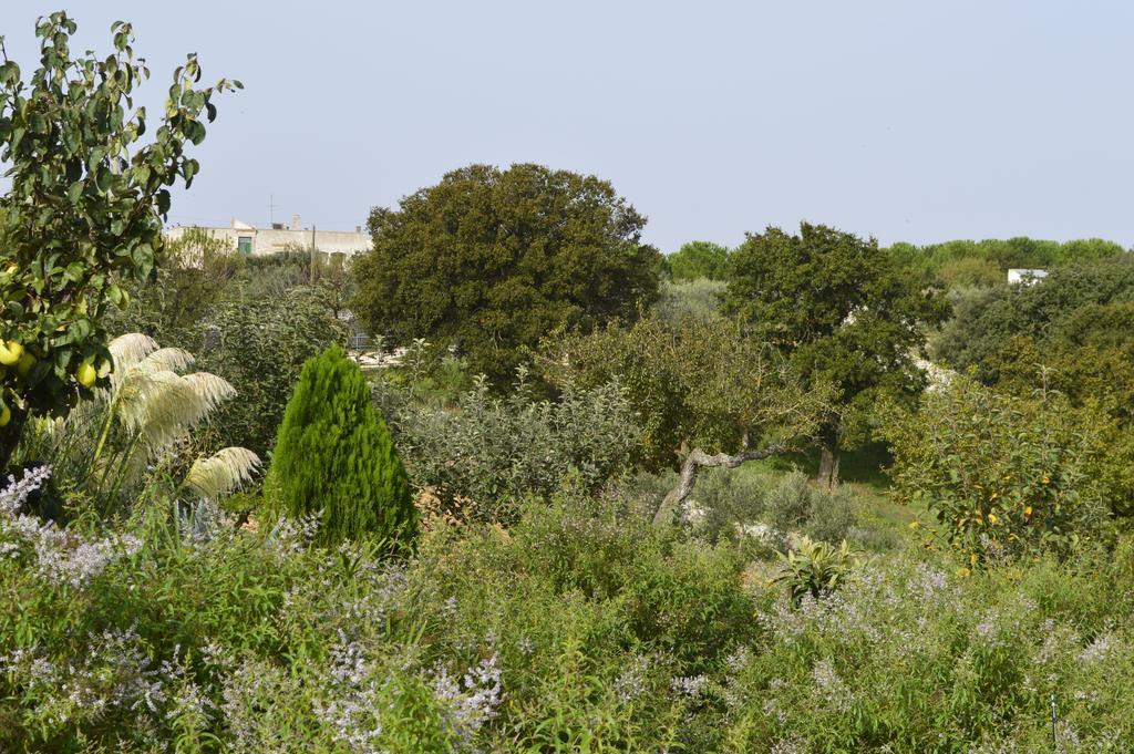 Bed & Breakfast Villa Lavanda Ночи Стая снимка