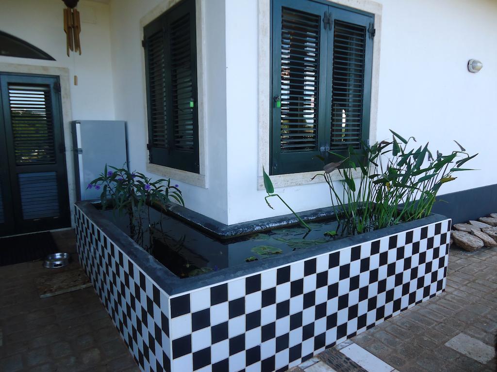 Bed & Breakfast Villa Lavanda Ночи Екстериор снимка