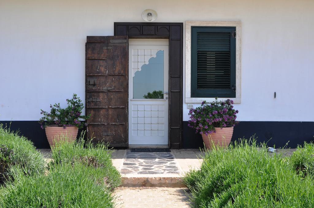 Bed & Breakfast Villa Lavanda Ночи Екстериор снимка